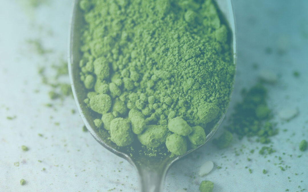 CHLORELLA: Der Nährstoff-Boost