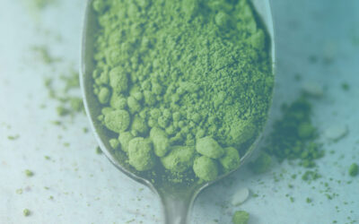 CHLORELLA: Der Nährstoff-Boost